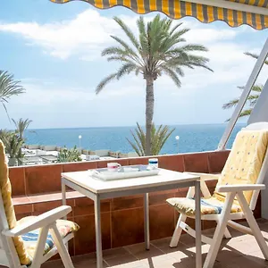 amazing-seasights-tenerife.in-canary-islands.com/